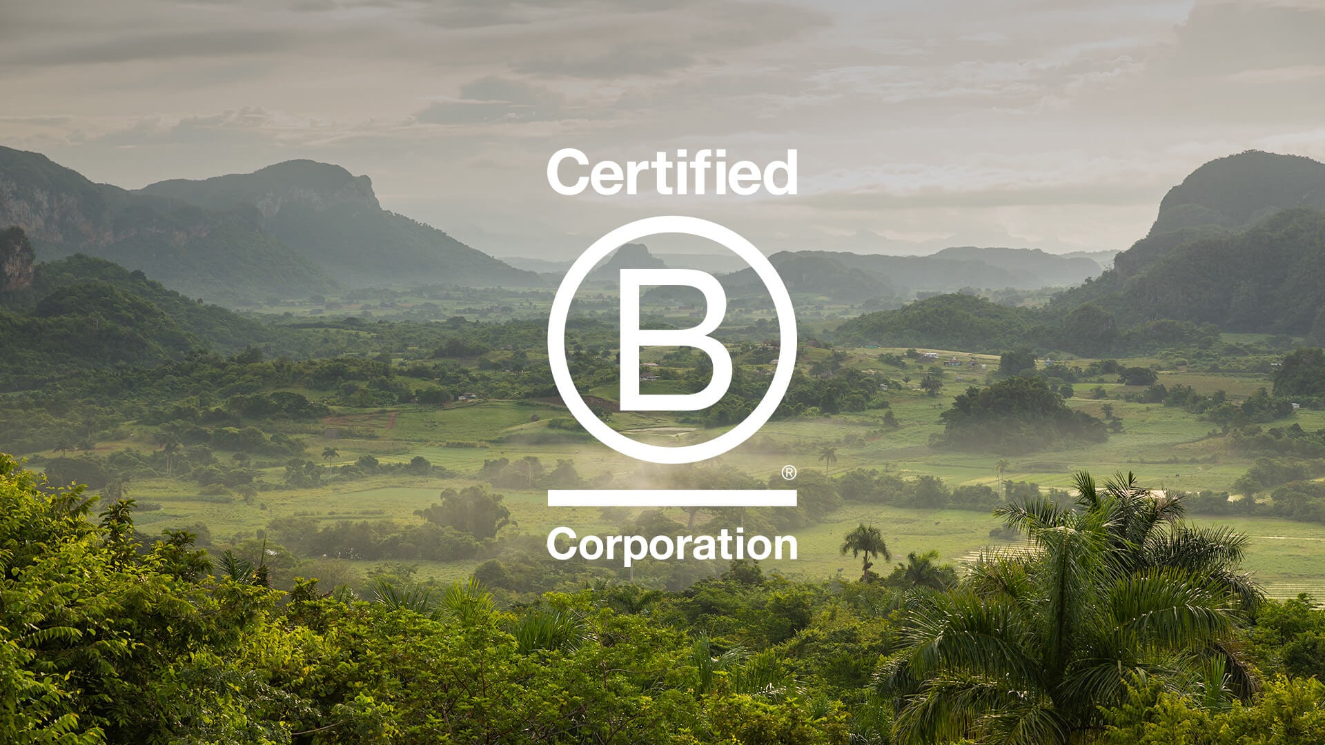 Becoming a B-Corp. Insights, intuition and trust.